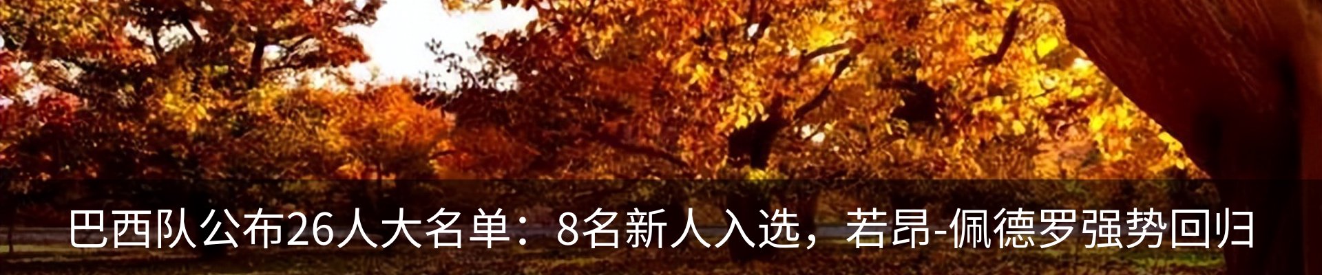 行业资讯